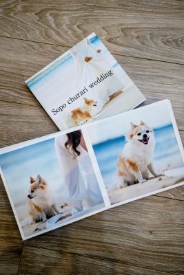 BeautyPlus_20230525193817212_save~2.jpg